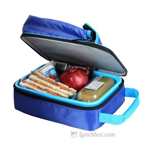 lunch boxes with hard liners